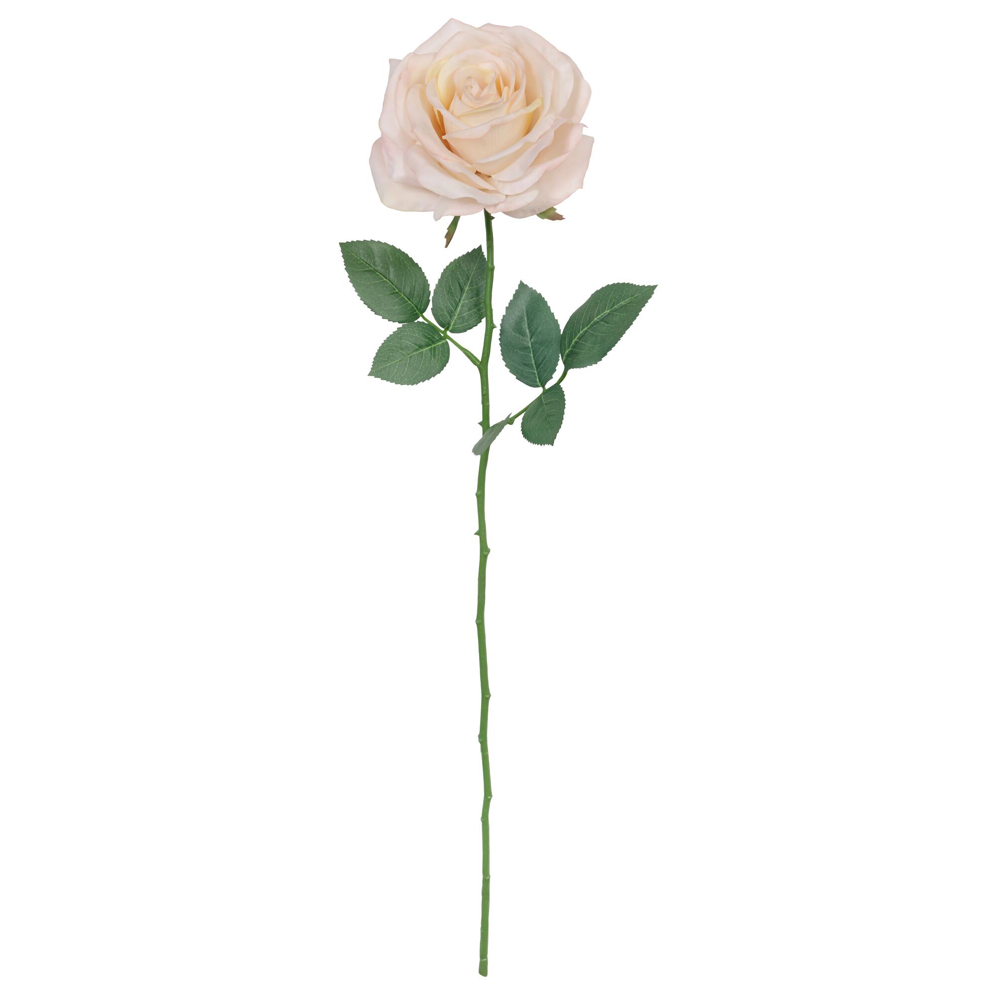 24" Rose Real Touch Stem by Ashland